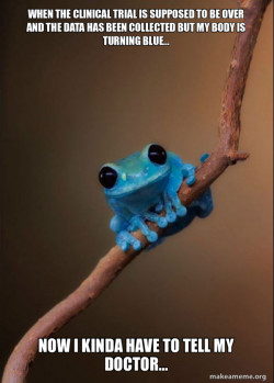 Small Fact Frog