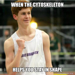 Success Ginger