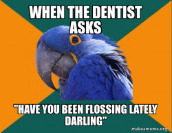 the dentist's parrot