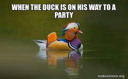 Fashionable Advice Mallard
