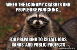 Evil Plotting Raccoon