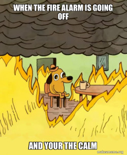 This Is Fine