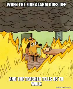 This Is Fine