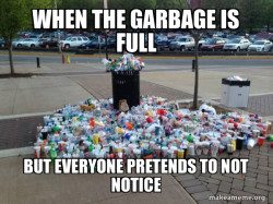Canadian Football Fans meme