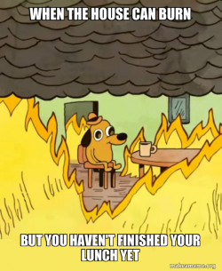 This Is Fine