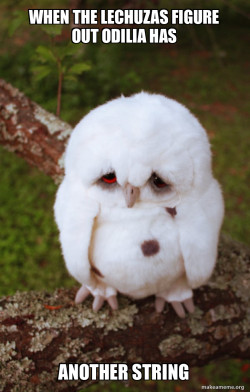 Sad Owl