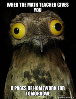 Weird Stuff I do Potoo