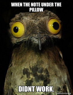 Weird Stuff I do Potoo
