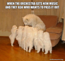 Storytelling Dog