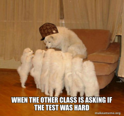 Scumbag Storytelling Dog