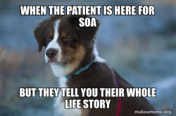 Unsure Dog