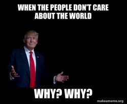 Trump Everything is FIne
