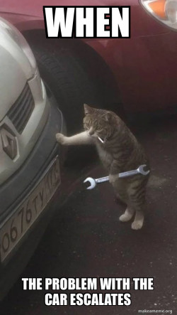 Mechanic Cat