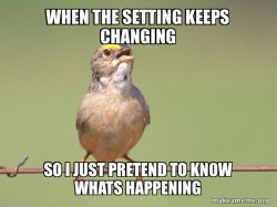 Common Opinion Sparrow