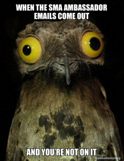 Weird Stuff I do Potoo