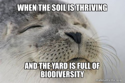 Satisfied Seal