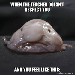 Blobfish