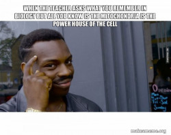 Roll Safe Black Guy Pointing at His Head 