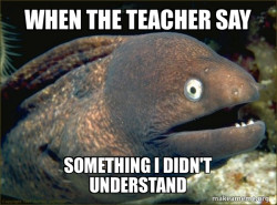 Bad Joke Eel