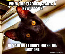 Overly Attached Cat