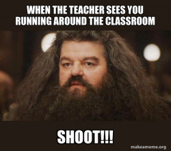 Hagrid - I should not have said that
