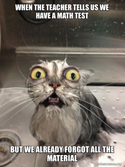 cat cath