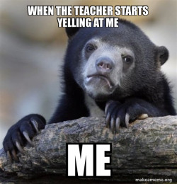 Confession Bear