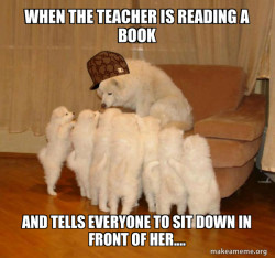 Scumbag Storytelling Dog