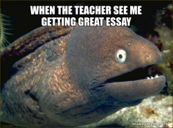 Bad Joke Eel
