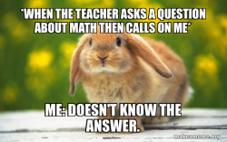 Regretful Rabbit