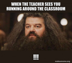 Hagrid - I should not have said that