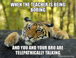Confession Tiger
