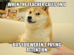 Doge