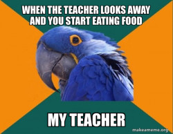 Paranoid Parrot