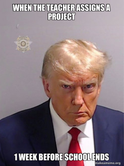 Donald Trump Mugshot