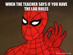 Spiderman - Care factor Zero