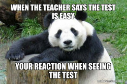 Confession Panda
