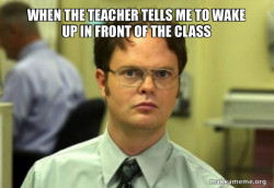 Schrute Facts (Dwight Schrute from The Office)