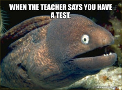 Bad Joke Eel