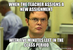 Schrute Facts (Dwight Schrute from The Office)