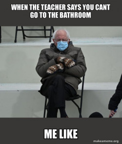 Bernie Sanders at the Inauguration