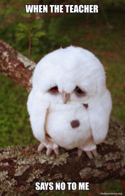 Sad Owl