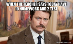 Ron Swanson : I am a Simple Man