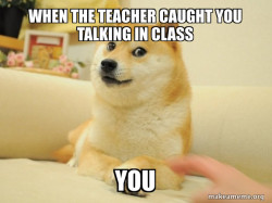 Doge