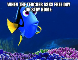 Dory from Nemo  (5 second memory)