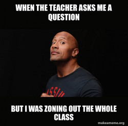 Dwayne Johnson (The Rock)