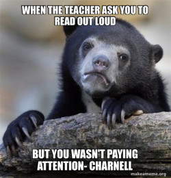 Confession Bear                               