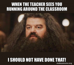 Hagrid - I should not have said that