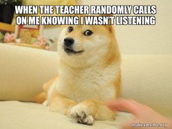 Doge