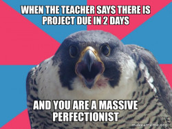 Millennial Falcon